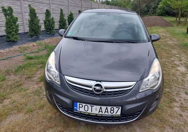 Opel Corsa cena 18900 przebieg: 165092, rok produkcji 2011 z Ostrzeszów małe 277